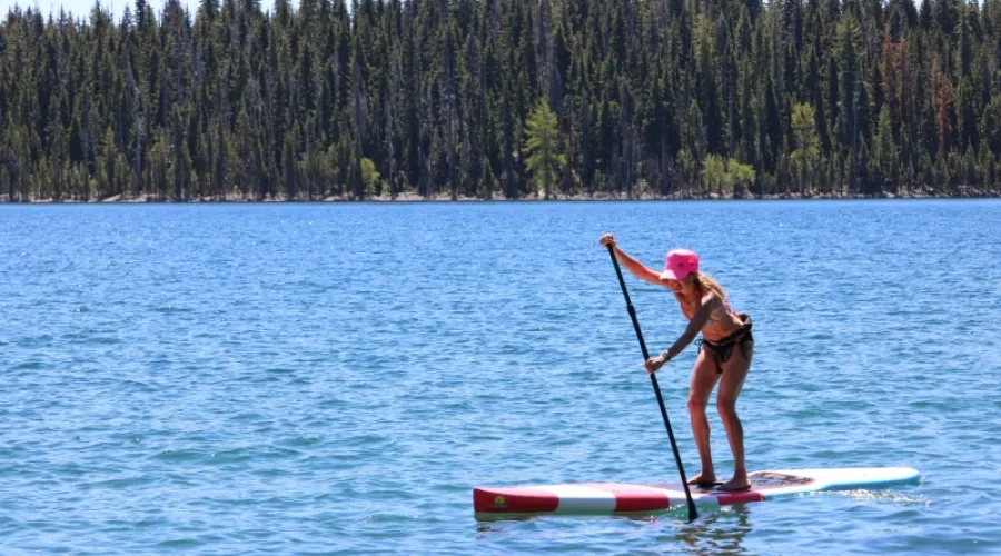 Stand-Up Paddle Board Rentals