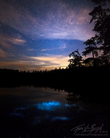 http://www.artinnaturephotography.com/photo/bioluminescence-san-juan-islands-moonset/