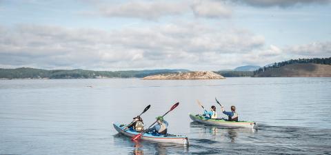 The Ultimate San Juan Island Adventure