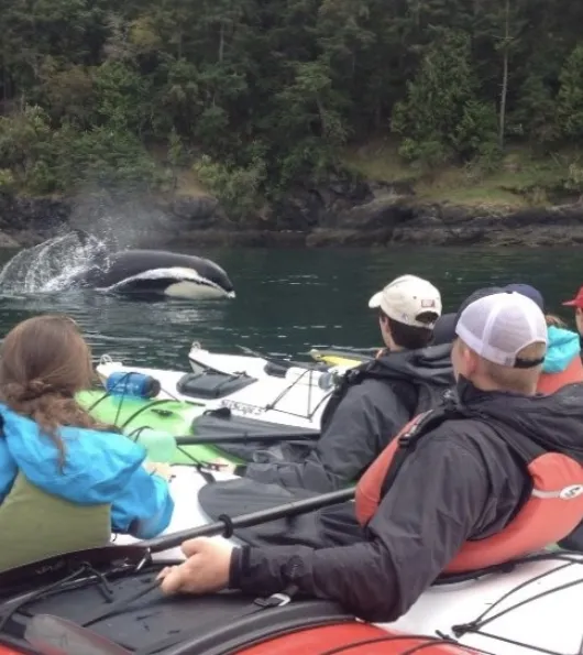 Kayak Fishing - North Pacific Adventure