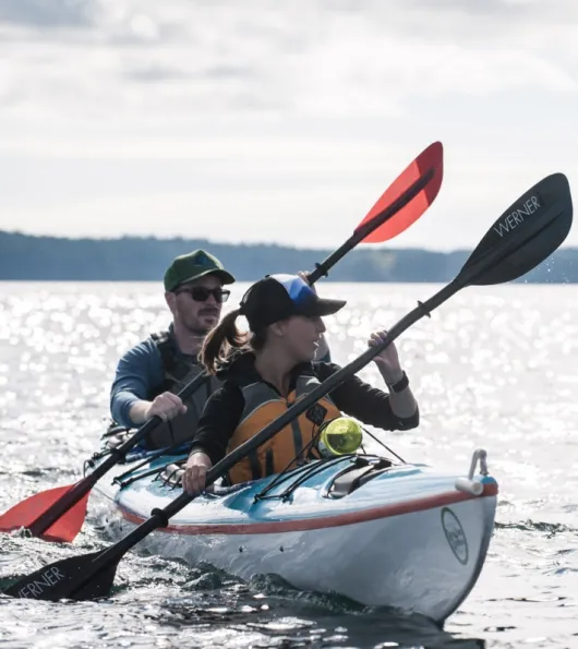 Sea Kayak Rentals