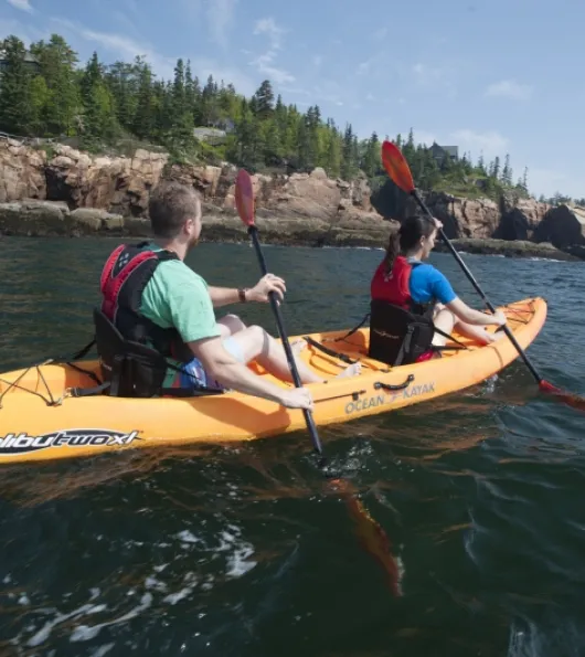 Rental: Double Kayak & 2 Paddles