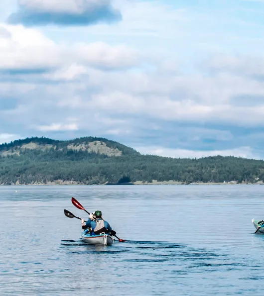 Sea Kayaking in the San Juan Islands